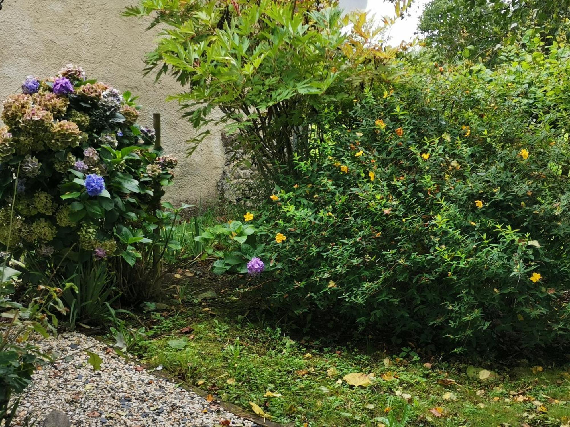 Les Brassins Du Dillon Villa Moyon Dış mekan fotoğraf
